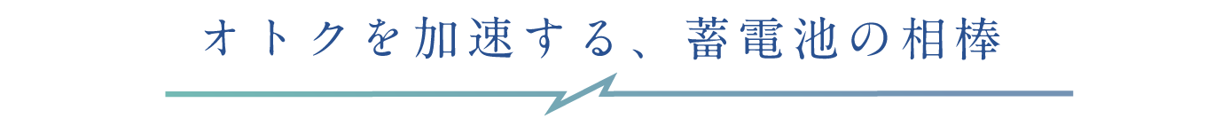 おトクを加速する、蓄電池の相棒