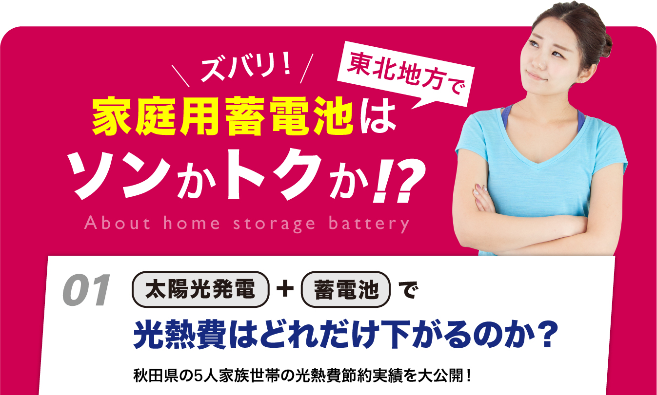 ズバリ！家庭用蓄電池は東北地方でソンかトクか！？